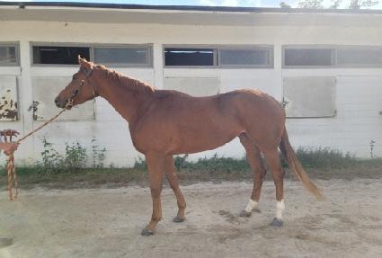 ��Ʈ�̸� ����