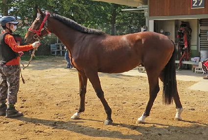 ���� ����