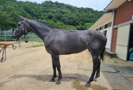 �����뺸 ����