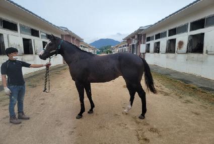 ���������� ����