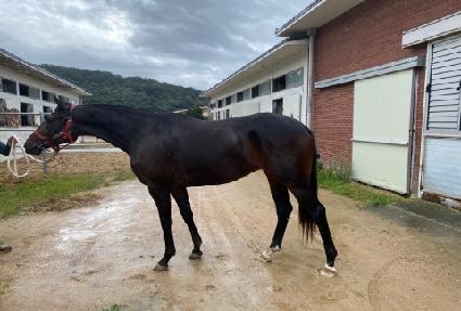 ȭ����ī�� ����