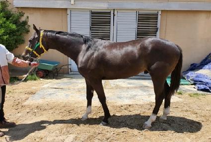 ���ο��� ����