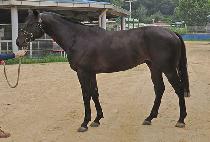 ��ġ���� (TOUCH NINE) ����