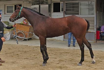 ������ ����