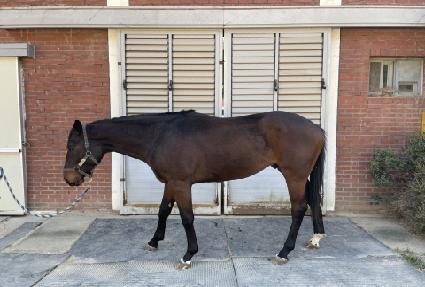 ��Ÿ��Ÿ ����