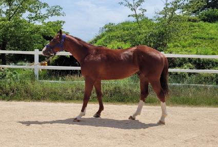 ���̽����� ����