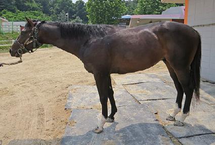 ���ֿ��ٴ� ����