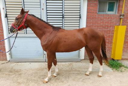 �ö��״�è�� ����