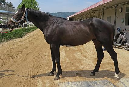 �ǿ��������� ����