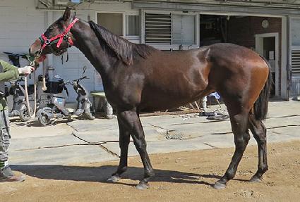 ��緰Ű ����