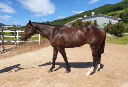 �ǿ������ ����