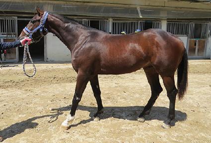 ��´����ϵ� ����