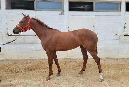 ����ġ���� ����