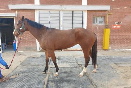 ������è�� ����