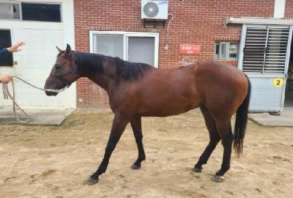 Űư��ŷ ����