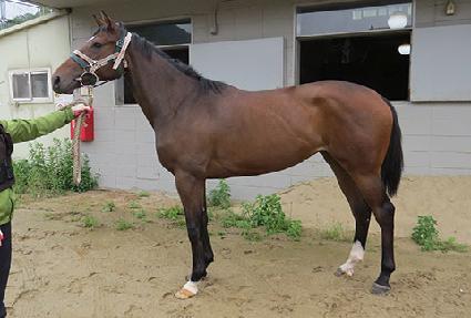 �帲���ǵ� ����