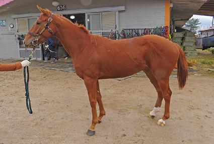 �̶�Ŭ���� ����