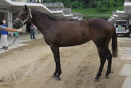 �ö������� ����