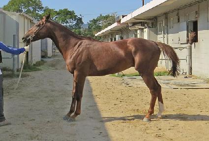 Ÿ�̰��� ����