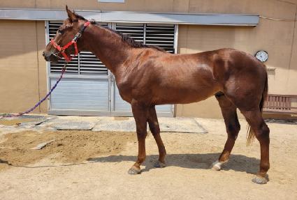 �Ƶ����ڶ� ����