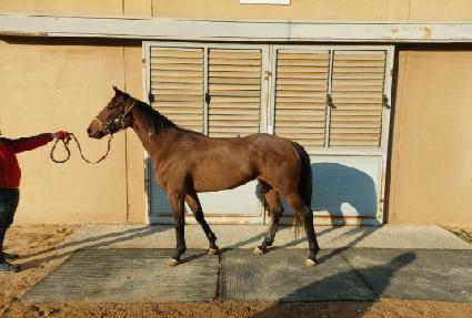 �׷��̷��� ����