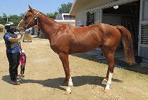 �������帲 (FOREVER DREAM) ����