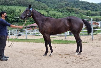 ��º��� ����