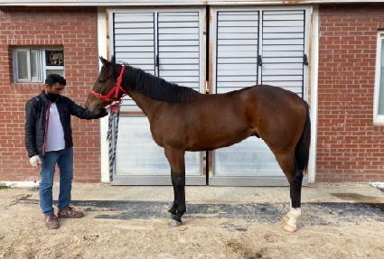 �Ž�Ʈ���� ����