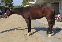 �׹��׹����� (NEVER NEVER STOP) ����