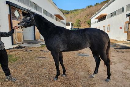 ���̷������� ����