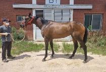 THUNDER CLOUD picture