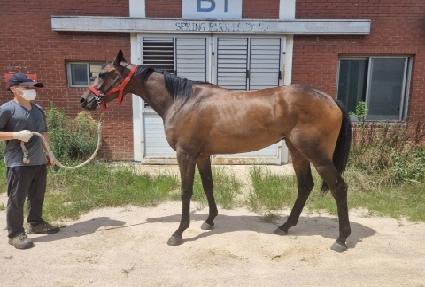 ����Ŭ���� ����