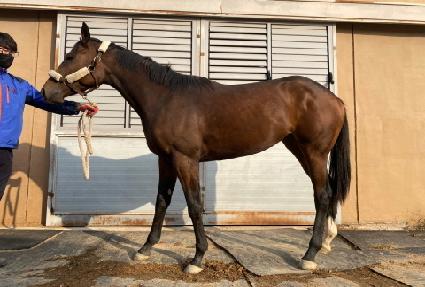 �߻�ȭ ����