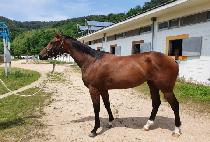 ��Ż��Ŭ���� (TOTAL ECLIPSE) ����