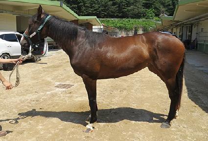 �ٳ������� ����