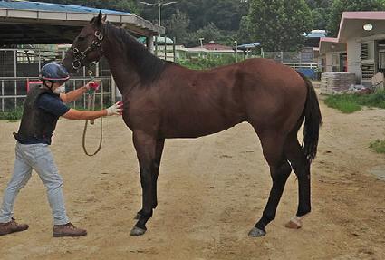 �۹̼����� ����