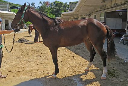 ����Ʈ��ġ ����