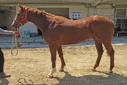 �ݼ�ȯ�� ����