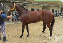 ��´�����ũ (RAON THE SPARK) ����