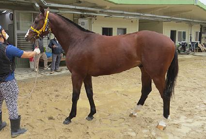 ��´�����ũ ����