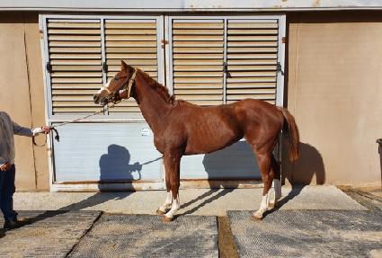 ���ũ��� ����