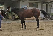 ��õ�ְ� (OKCHEON CHOEGANG) ����