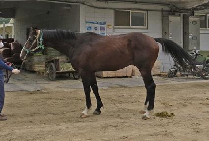 ��õ�ְ� ����