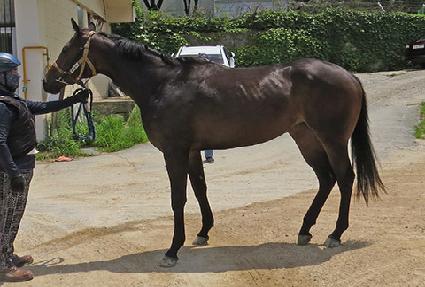 ������� ����