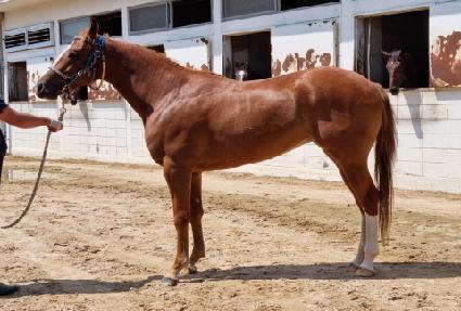 ��Ʈ������ ����