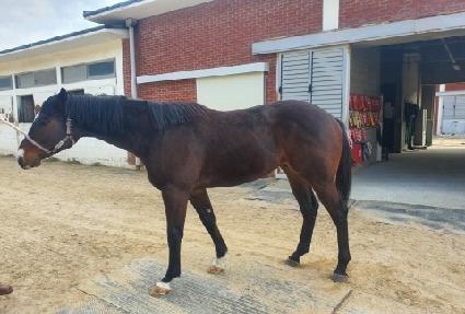 ��ų��� ����