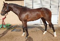 �����Ŀ� (NANSAN POWER) ����