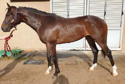 �����Ŀ� ����