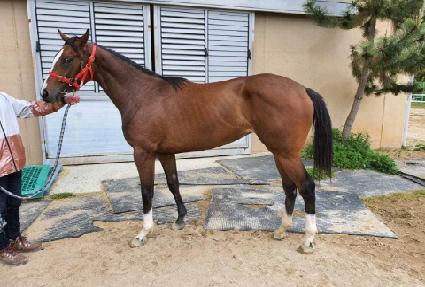 �����̰��̾� ����