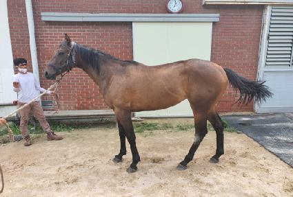 ûȣ���� ����